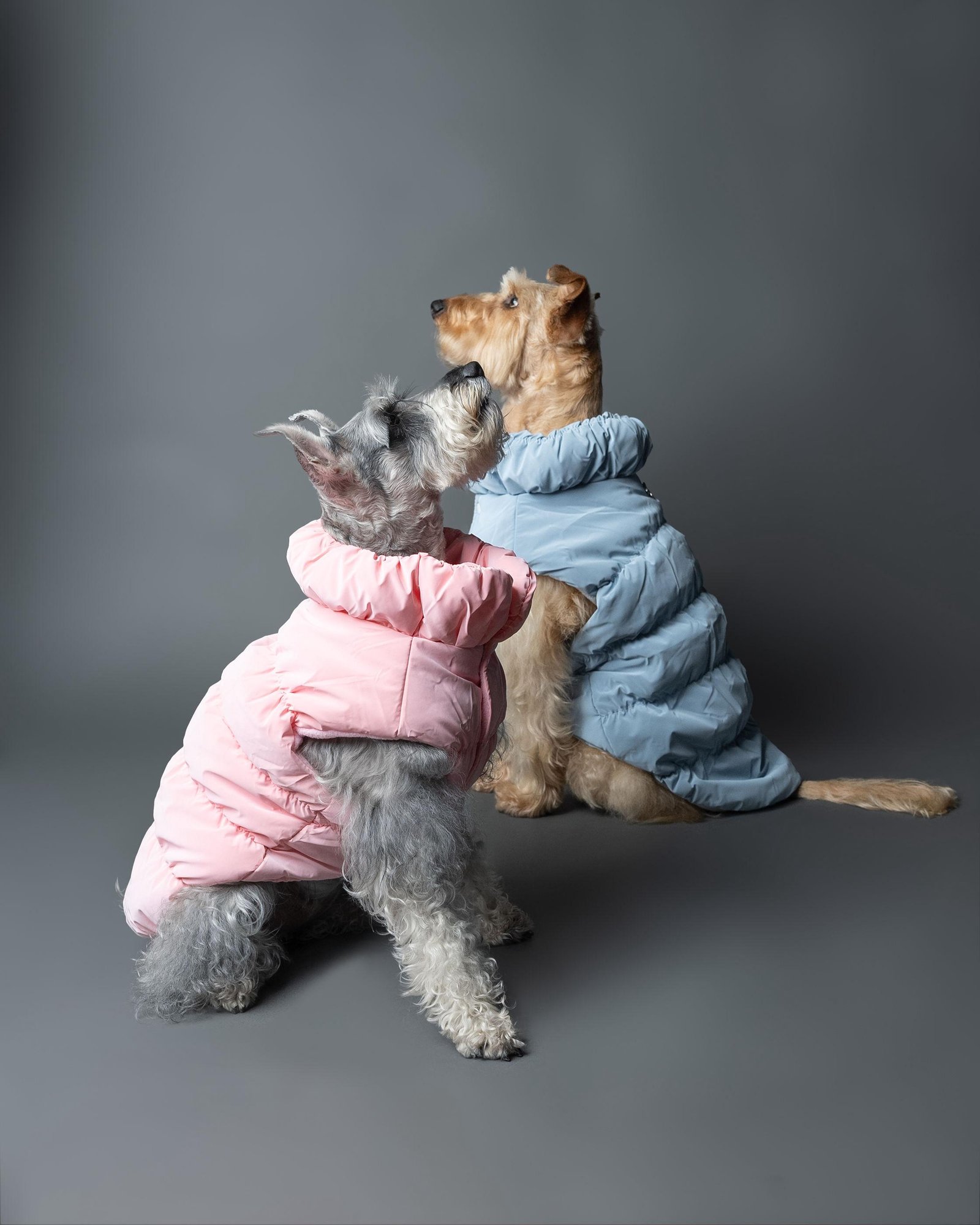 WhatsApp Image 2025-05-06 at 09.16.59